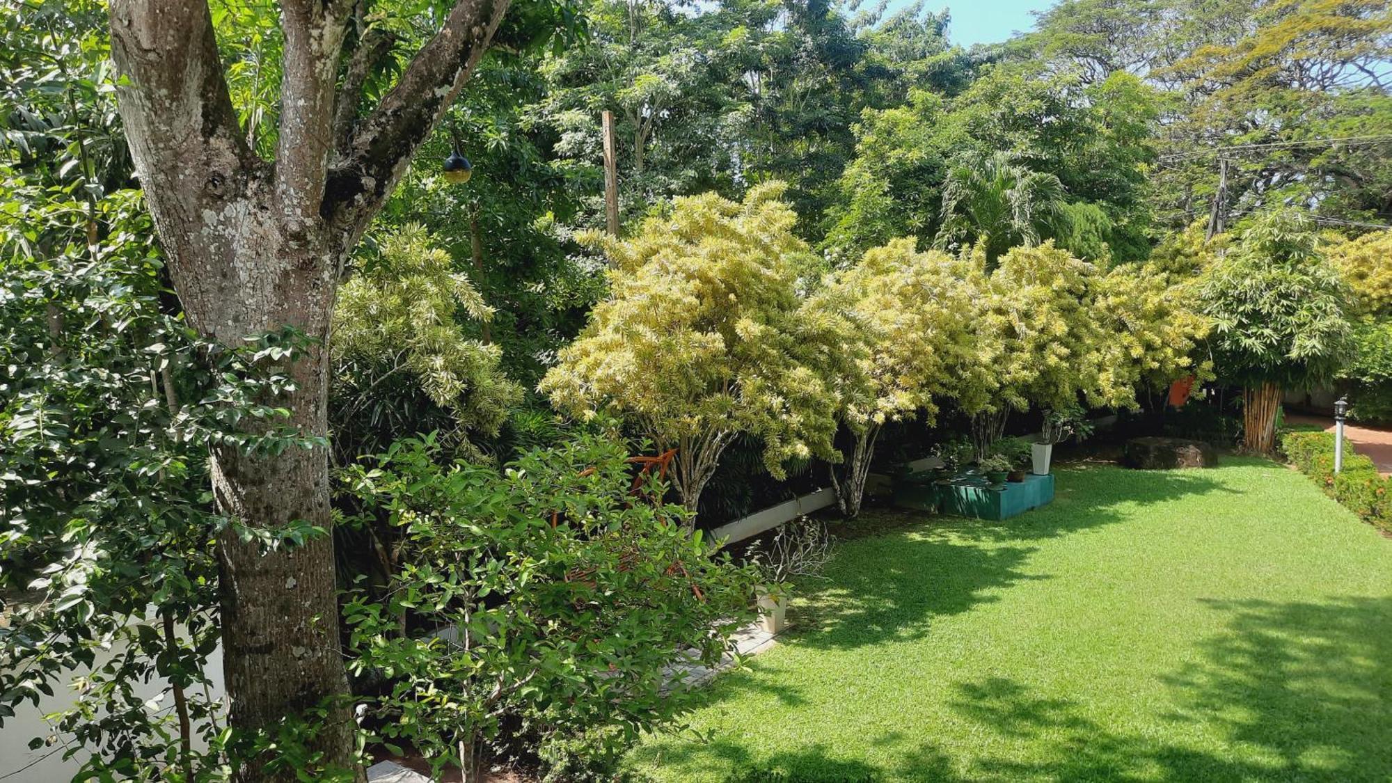Rockery Villa Ayurveda Бентота Экстерьер фото
